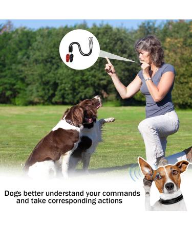 High-Frequency Dog Whistle & Clicker Set - R tter Refraction Training Tools for Barking Control & Recall - 2 Packs in Black & Red - Buy Online on GoSupps.com