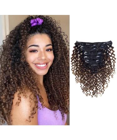 Loxxy Curly Clip in Hair Extensions Remy Human Hair For black Women Natural Black Fading To Chocolate Brown Color Double Weft Clip in Natural Jerry Curly Extensions Hair (#1B/4,20 Inch,120gram) 20 Inch Jerry Curly #1B/4
