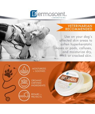 Dermoscent | Bio Balm | Dog Paw Balm | Organic Moisturizer for Paw Pads Nose & Elbow | Itchy Dog Skin Relief | Soothes Sensitive Paws | 50ml 50 ml (Pack of 1) - Buy Online on GoSupps.com