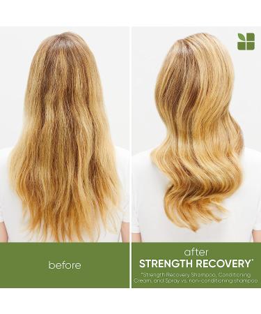 Biolage Strength Recovery Shampoo - Reduces Breakage, Vegan Squalane, 13.5 Fl Oz - Buy Online on GoSupps.com
