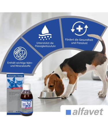 Alfavet Reconvales Energy for Cats - High-Caloric Formula for Convalescence & Hepatic Lipidosis - 180ml Glass Bottle - International Shipping Available - Buy Online on GoSupps.com