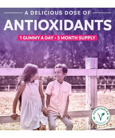 Kids Elderberry Gummies with Vitamin C & Zinc (90 Raspberry Gummies) - Immune Support Supplement for Children - Vegetarian Formula - 3 Months Supply - Buy Online on GoSupps.com