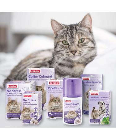 BEAPHAR Calming Valerian Treats for Cats Reduces stress and behavioral problems without addiction or drowsiness Chicken flavor Ready to use 35g - Buy Online on GoSupps.com