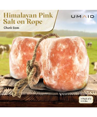 UMAID 6 lbs Himalayan Animal Lick Salt On Rope for Horses, Deer, Livestock - 2 Count - Buy Online on GoSupps.com