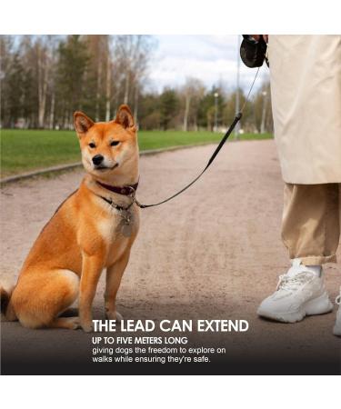 Extendable Dog Lead Heavy Duty Retractable Dog Lead Pet With One Handed Brake Release Button Easy Grip Handle Suitable For Small And Medium Dog Leash Outdoor Walking Training Pet Supplies 5M(1Pc) - Buy Online on GoSupps.com