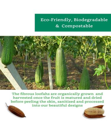 Organic 100% Natural Loofah Slices for Soap Making (20 Pack) - Luffa Cuts Kit - Hamster Chew Toys - Buy Online on GoSupps.com