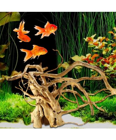 Driftwood Decor - Turtle Shell Wooden Tree Root | Solid Reptile Wood Branches Aquarium Decoration for Aquariums Small Fish Hide Ruftup Trumpet 10-15 Cm - Buy Online on GoSupps.com