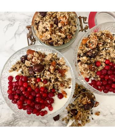 Elixi Linseed & Currant Low Carb Snack 300g - Protein & Omega 3 Boost Natural Fiber Breakfast Meal Tasty Linseed Powder - Buy Online on GoSupps.com