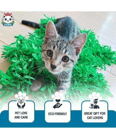 CATMAT - Cat Paper Grass Tissue Paper Cat Mat Cat Play Mat Cat Play Grass Paper Cat Grass Fake Cat Toy Grass Cat Mat Tissue Paper Grass for Cats Cat Grass for Indoor Cats - Green (Pack of 2) - Buy Online on GoSupps.com