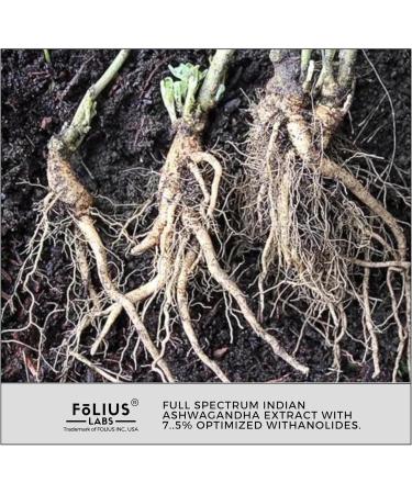 FOLIUS LABS Ashwagandha 7.5% Herbal Energy Support Supplement 500mg - Stress Relief Support Natural Mood Support - Full Spectrum Ashwagandha Root Extract -120 Capsules - Buy Online on GoSupps.com