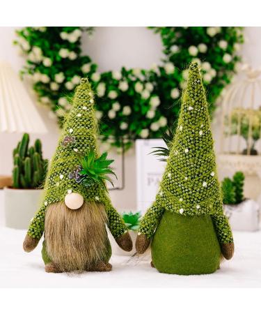 caoxhenr Spring Gnomes - Summer Cactus - Scandinavian Swedish Gnomes - Decorative Tray - Garden Gift - Swedish Gnomes - Buy Online on GoSupps.com