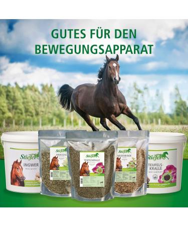 Stiefel Devil's Claw Cut 1kg - Buy Online on GoSupps.com