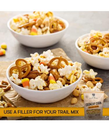 Natural Cravings Roasted & Salted Crunchy Corn Nuts 16 oz - 2 Pack - Buy Online on GoSupps.com