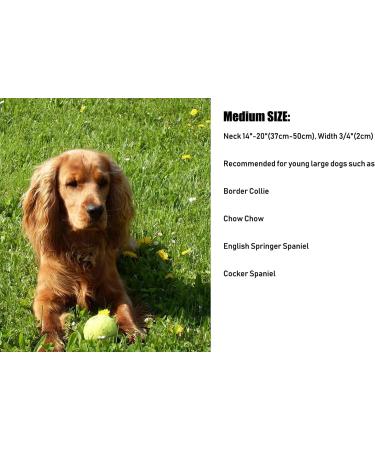 AMAGOOD Classic Nylon Adjustable Dog/Cat Collar - Medium Blue - Buy Online on GoSupps.com