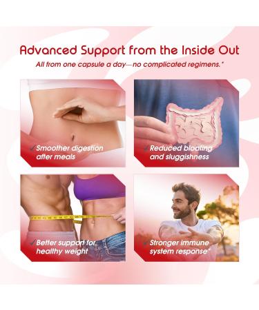 Liposomal Berberine with Cinnamon & Turmeric Supports Digestion & Immune Health 150 Capsules 150 count (pack of 1) - Buy Online on GoSupps.com