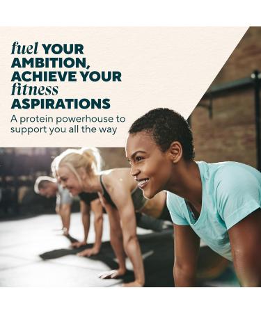 Myprotein Protein Bars Crispy Protein Wafers 15g High Protein Snacks Box of 10 Chocolate Wafers Packs Milk & Whey Protein Isolate Light & Crunchy - Buy Online on GoSupps.com