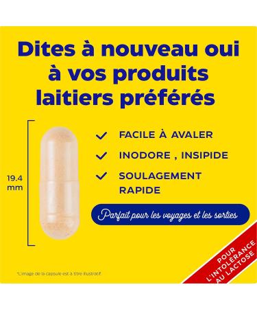 Enzymedica Lacto Enzymatic Formula For Lactose And Casein Intolerance Indicated For Cross-Contamination Gluten Free Dairy Free Vegan 90 Capsules - Buy Online on GoSupps.com