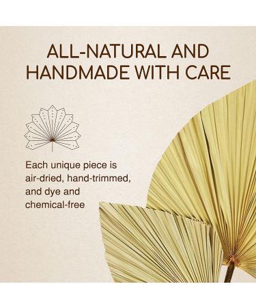 Natural Dried Palm Leaves Decor - Rustic Boho Home Farmhouse Decor - Vase Fillers and Wall Decor Set - Buy Online on GoSupps.com