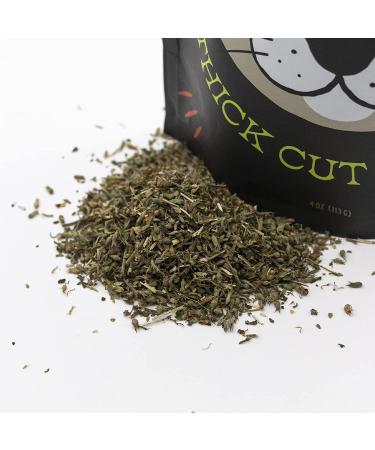 Hoochie Koochie Kitty Catnip 8 oz - All Natural Thick Cut Catnip for Cats - Buy Online on GoSupps.com