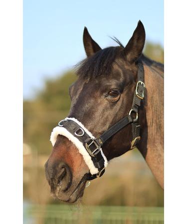 T TEKE Lunge Cavesson - Black Full Size with Fleece Lined Nose Band - Buy Online on GoSupps.com