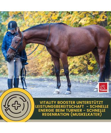 Amino Acids for Horse Bodybuilding - for Effective Trainings - Performance Amino Acid Pate Vitamin E Strengthening Recovery Musculature Regeneration Energy for Muscles Horses 30 ml - Buy Online on GoSupps.com