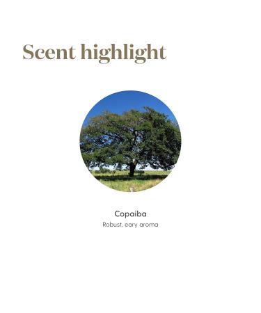 Copaiba Essential Oil by Young Living 15 Milliliters Topical and Aromatic - Buy Online on GoSupps.com