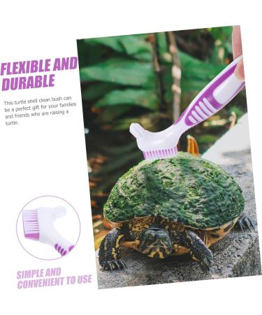 SUPVOX Turtle Shell Cleaning Brush - 4pcs Fish Tank & Tortoise Accessories | Effective Mud & Hair Cleaner (16x5cm - Buy Online on GoSupps.com