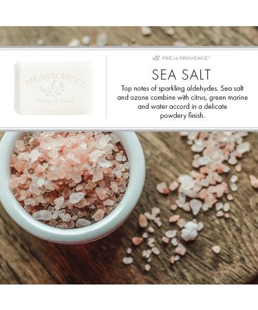 Pre de Provence Artisanal Sea Salt Soap Bar 5.3 oz - Organic Shea Butter, Quad Milled French Skincare for Rich Moisturizing Lather - Buy Online on GoSupps.com