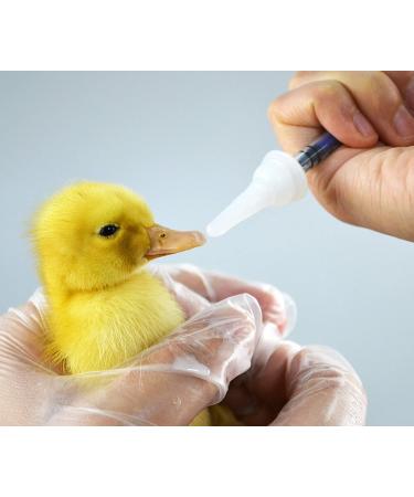 Pet Feeding Bottle & Syringe Set with Silicone Nipples - Ideal for Dogs, Cats, Puppies, and Wild Animals - Buy Online on GoSupps.com