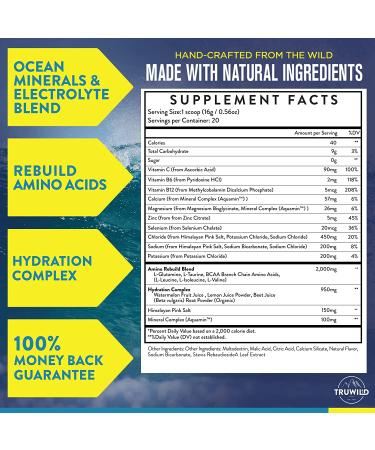 TRUWILD Hydrate Vegan Electrolyte + Amino Acid Drink Mix Powder - Watermelon Lemonade Flavor, 20 Servings - Post-Workout Muscle Recovery & Immune Support with Clean Sugar-Free Formula & Magnesium - Buy Online on GoSupps.com