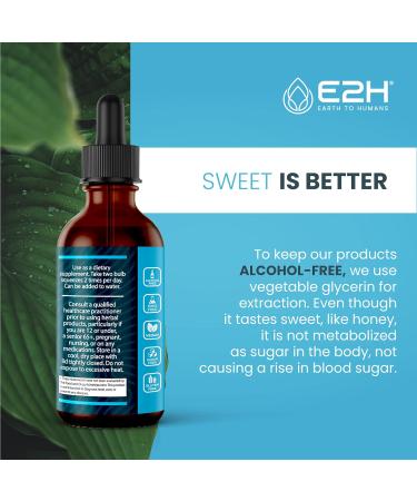 E2H: Liver Support Supplement (2 Pack - 4 Fl Oz) and Liquid Turmeric Curcumin (Single Bottle - 2 Fl Oz) | Vegan Non-GMO - (6 Fl Oz Total) - Bundle - Buy Online on GoSupps.com