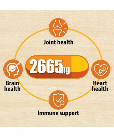 Vegan Turmeric Curcumin with Black Pepper - Joint Support Supplement - 2665mg Curcumin - 20X Absorption - 2 Month Supply - Buy Online on GoSupps.com