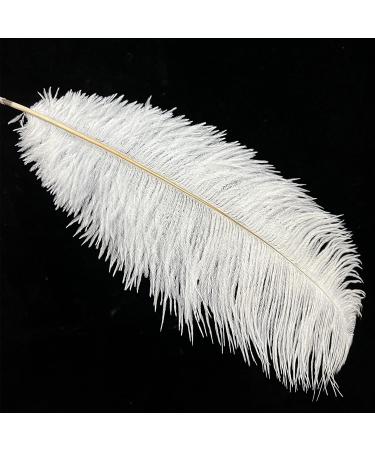 White Ostrich Feathers Craft Pack - 10pcs, 16-18 inch for Wedding, Party, DIY Decor - Buy Online on GoSupps.com