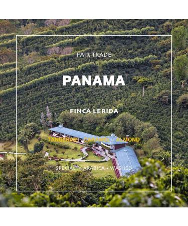 Panama Boquete Award Winning Lerida Single Origin Green Coffee Beans - 5 Lb Unroasted by Grand Parade Coffee - Buy Online on GoSupps.com