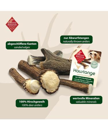 Chronobalance M Dental Care Causbie for Dogs - 2 Halved 100% Deer Antler Chewing Bones | Sustainable Dog Toys for Dental Hygiene - Buy Online on GoSupps.com