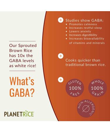Planet Rice Sprouted Brown Gaba Rice - Gluten-Free, Vegan, Paleo, Non-Allergenic with 64% More Fiber - Soft and Chewy Texture - 22 Ounce (Pack of 6) - Buy Online on GoSupps.com