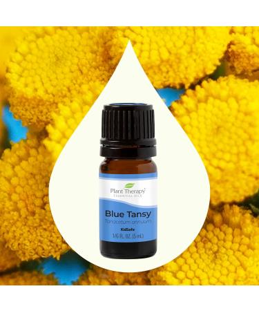Buy Plant Therapy Blue Tansy Essential Oil 100% Pure | Natural Aromatherapy | Therapeutic Grade | 5 mL (1/6 oz) - International Shipping Available - Buy Online on GoSupps.com