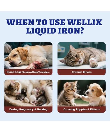 4oz Liquid Iron Supplement for Cats&Dogs-Vitamin B12&C-Cat Anemia Supplements Hemoglobin Support Lethargy Pregnant Cat&Dog Essentials Kitten & Puppy Supplements-Large Volume - Buy Online on GoSupps.com