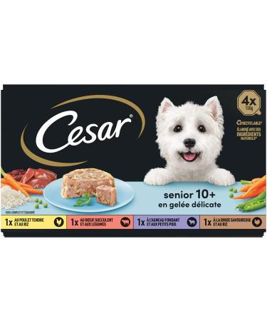 Cesar Jelly Trays 4 Varieties for Senior Dogs (4x150 g) - pack of 6