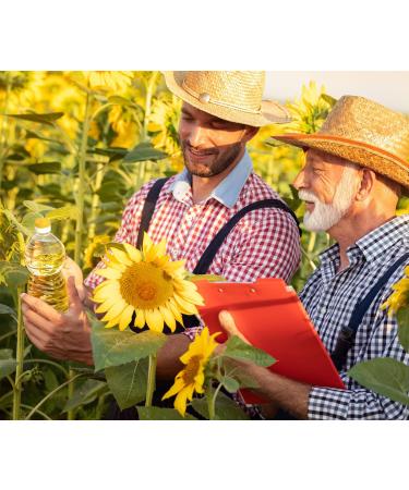 JUNG Sunflower Oil 6 X 1L - Premium High-Quality Frying Oil for Delicious Cooking | International Shipping - Buy Online on GoSupps.com