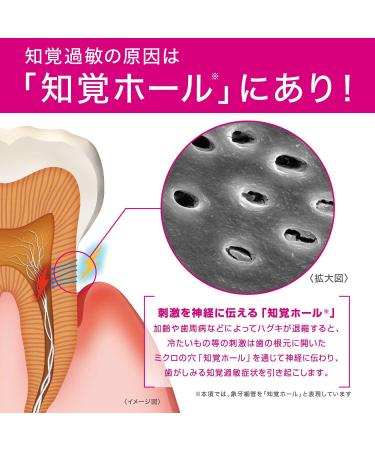  GUM Procare Gum (Non-Medicinals) Hypersensitive Toothpaste Hypersensitivity Condition High Concentration Fluorine Compound 1450ppm Unpolished 18g - Buy Online on GoSupps.com