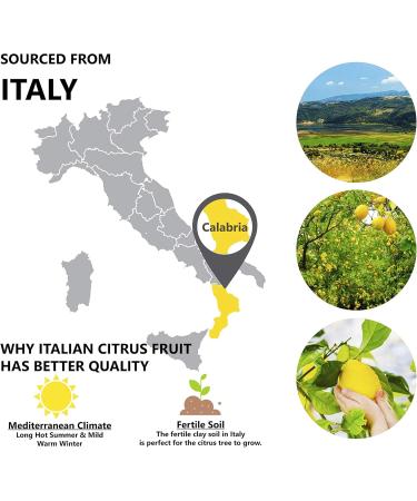 Lemon Essential Oil 1 oz - 100% Pure Therapeutic Grade - Italian Lemon - International Shipping Available - Buy Online on GoSupps.com