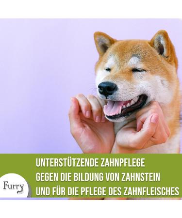 Furry Dental Spray for Dogs & Cats - 100ml | Fresh Breath Tartar Prevention & Mole Smell Control | Vegan & Aloe Vera Formula - Made in Germany - Buy Online on GoSupps.com