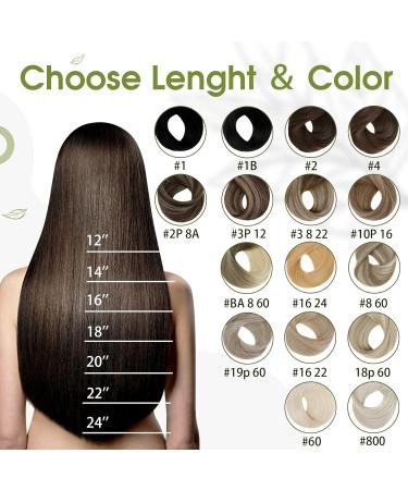 Runature Real Hair Extensions Clip-In Ash Blonde & Platinum Blonde - Seamless Remy Hair 35cm (14 inch) 50g 3 Pieces #18P60 - Buy Online on GoSupps.com