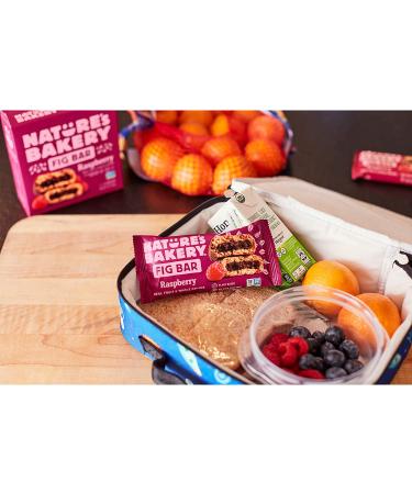 Nature's Bakery Whole Wheat Fig Bars - Raspberry | Vegan, Non-GMO Snack | 12 Twin Packs - Buy Online on GoSupps.com