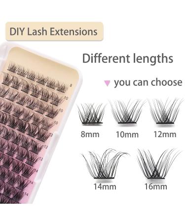 Losha 72 Pcs Cluster Lashes Extension 8-16mm D Curl | DIY Eyelash Extensions | Wispy False Eyelashes | B10-8-16mm Mix - Buy Online on GoSupps.com
