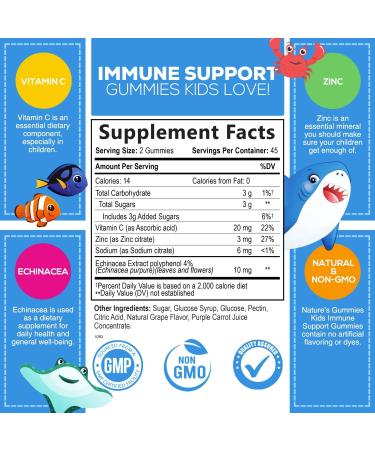 Echinacea Plus Vitamin C & Zinc Gummies for Kids - 90 Count | Nature's Nutrition - Buy Online on GoSupps.com