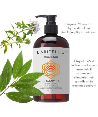 Buy Organic Hair Growth Set | 16 oz Shampoo Conditioner & 4 oz Treatment | Argan Oil & Essential Oils | NO GMO Sulfates Alcohol | International Shipping - Buy Online on GoSupps.com