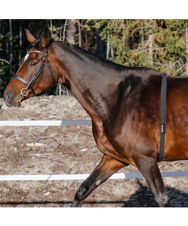 Polar Equine H10 Heart Rate Monitor Strap - Black Equestrian Gear for Horses and Trotting - Buy Online on GoSupps.com