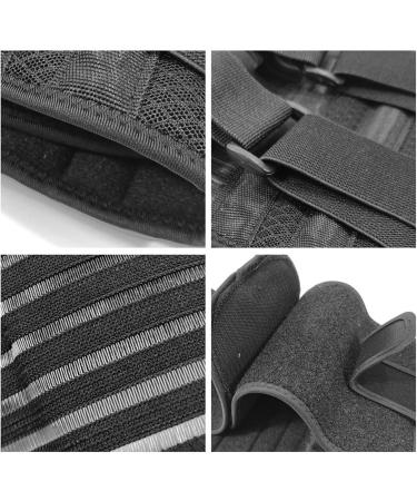 GTHNHD Waist Trainer Lumbar Support Brace Adjustable Waist Decompression Belt Breathable Back Brace Double Waist Cincher Small Black - Buy Online on GoSupps.com